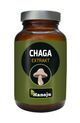 Hanoju Chaga Pilz Extrakt Tabletten 400mg Wien