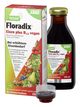 Floradix Eisen plus B12 vegan BIO-Tonikum - 250 Milliliter