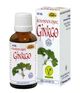 Espara Ginkgo Alchemistische Essenz 30ml Wien
