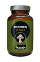 Hanoju Polyporus Pilz Extrakt Tabletten 400mg Wien