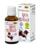 Espara Rotes Weinlaub Alchemistische Essenz 30ml Wien
